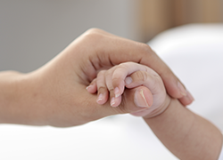 訪問看護ステーションあおむしのホームページへようこそ